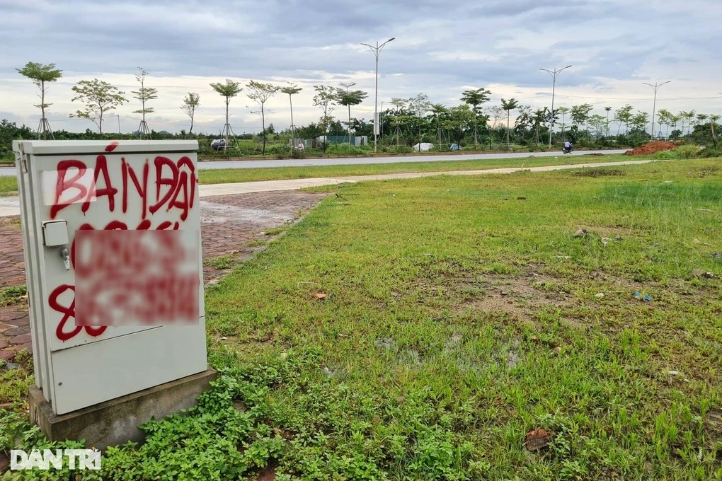 Tỉnh Nam Định, Ninh Bình sắp đấu giá 377 lô đất, khởi điểm từ 5 triệu/m2 - 1 Tỉnh Nam Định, Ninh Bình sắp đấu giá 377 lô đất, khởi điểm từ 5 triệu/m2 - 1