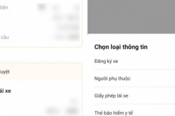 adt1741599924-them-nguoi-phu-thuoc-vao-ung-dung-vn__anh_cat_3_2 Người dân bất ngờ vì được cấp giấy phép lái xe trên VNeiD chỉ sau 4 ngày đổi online