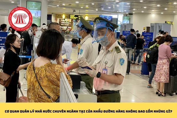 Cơ quan quản lý nhà nước chuyên ngành tại cửa khẩu đường hàng không bao gồm những gì theo Nghị định 93?
