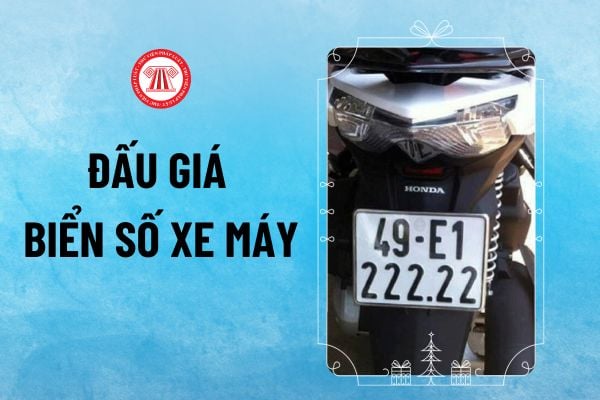 dau-gia-bien-so-xe-may Pháp luật