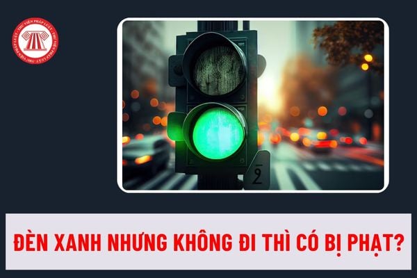 den-xanh-nhung-khong-di Pháp luật