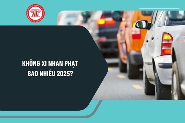 khong-xi-nhan-phat-bao-nhieu Pháp luật