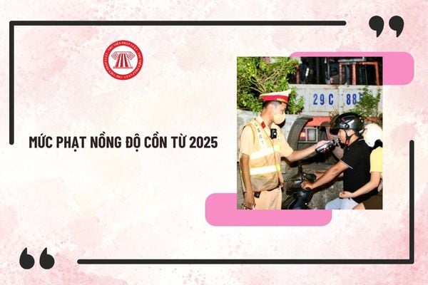 muc-phat-nong-do-con-2025 Pháp luật