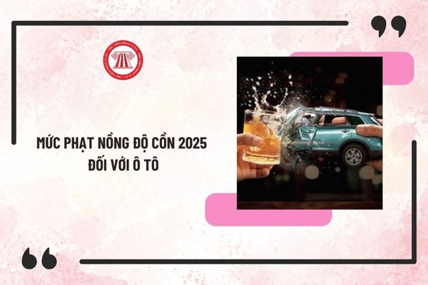 muc-phat-nong-do-con-o-to Pháp luật