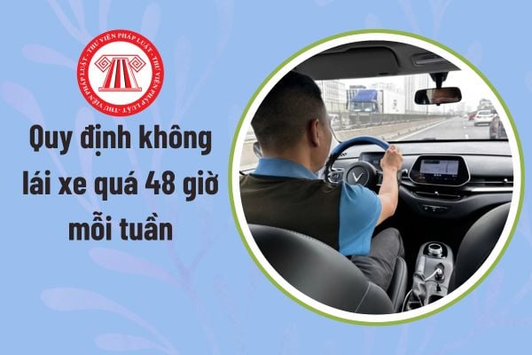 Quy định không lái xe quá 48 giờ mỗi tuần áp dụng đối với tài xế lái xe gì? Mức phạt chạy xe quá 48 giờ mỗi tuần là bao nhiêu?